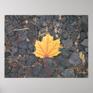 Affiche de feuille contrastante