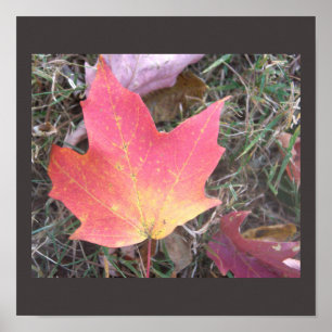 Affiche de feuille d'automne rouge jaune