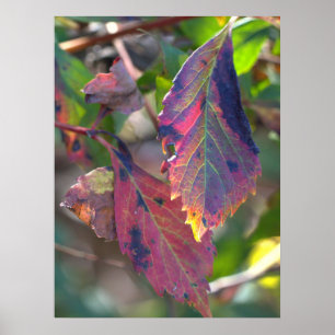 Affiche de feuilles d'automne avec la lumière du s