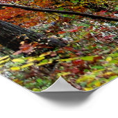 Affiche de feuilles d'automne sur des arbres en Ar (Coin)