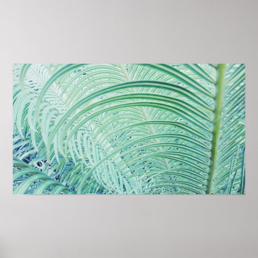 Affiche de feuilles de palmier de plante verte dou (Devant)
