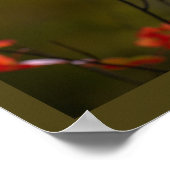 Affiche de feuilles et branches rouges (Coin)