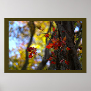 Affiche de feuilles et branches rouges