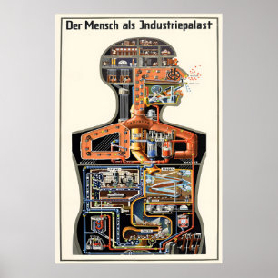 Affiche de film Fritz Kahn 'L'homme comme palais i