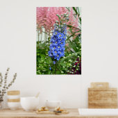 Affiche de fleur de delphinium bleu (Cuisine)