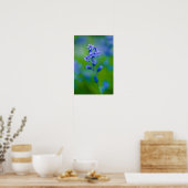 Affiche de fleur de jacinthe des bois (Cuisine)