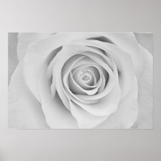 Affiche de fleur de rose noir et blanc (Devant)