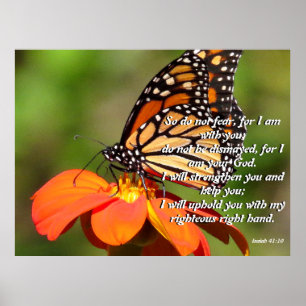 Affiche de fleur de tournesol de papillon de