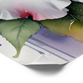affiche de fleur d'hibiscus blanc (Coin)