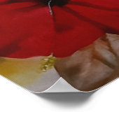 Affiche de fleur d'hibiscus tropical vibrant (Coin)