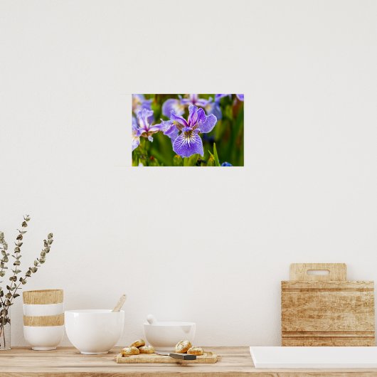 Affiche de fleur d'iris (Cuisine)
