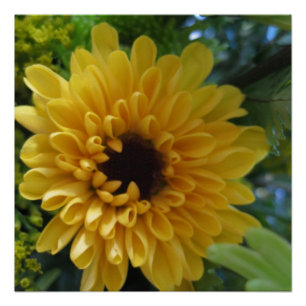 Affiche de Fleur Jaune