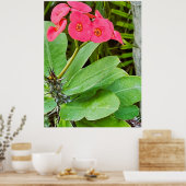 Affiche de fleur rose (Cuisine)