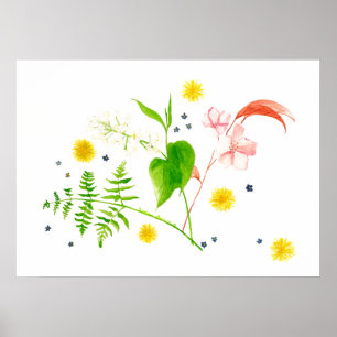 affiche de fleur sauvage