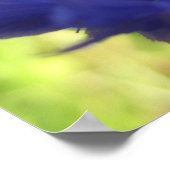 Affiche de fleurs (Coin)