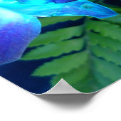 affiche de fleurs bleues de la nature (Coin)