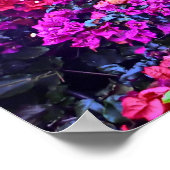 Affiche de fleurs colorée (Coin)