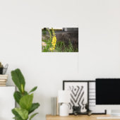 Affiche de fleurs de molène orange (Bureau à domicile)