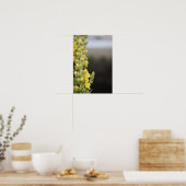 Affiche de fleurs de molène orange (Cuisine)