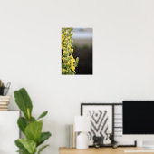 Affiche de fleurs de molène orange (Bureau à domicile)