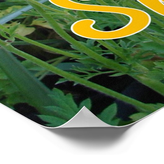 Affiche de fleurs florales (Coin)