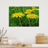 affiche de fleurs jaunes d'été (Cuisine)