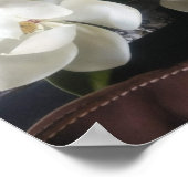 Affiche de fleurs sauvages de Floride (Coin)