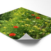 Affiche de fleurs sauvages rouges dans une prairie (Coin)