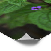 Affiche de fleurs sauvages violettes (Coin)