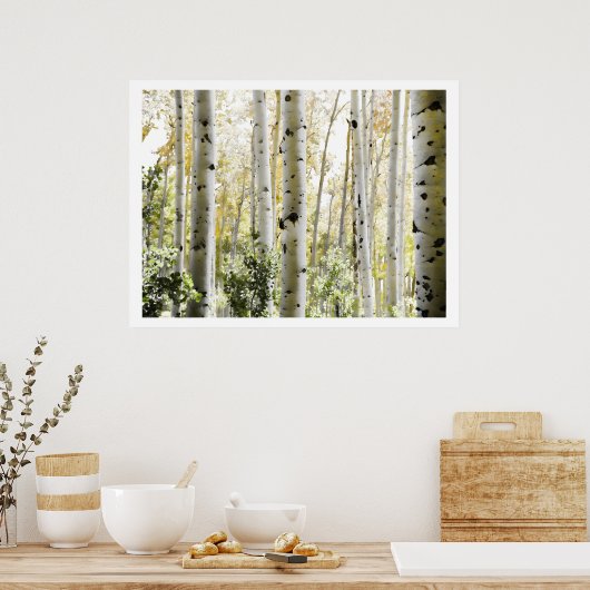 Affiche de forêt de bouleaux PixDezines (Cuisine)