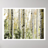 Affiche de forêt de bouleaux PixDezines (Devant)