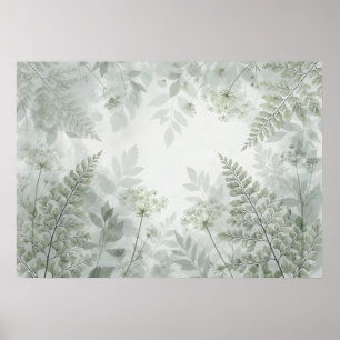Affiche de fougère de sauge pâle Queen Anne Lace W