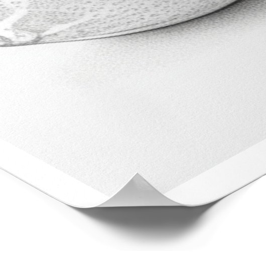 Affiche de fruits Wall Art (Coin)