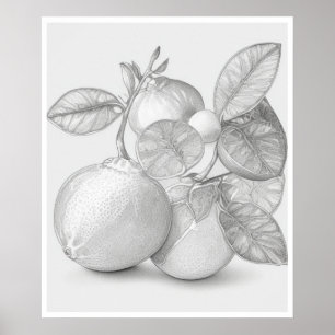 Affiche de fruits Wall Art