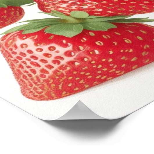 Affiche de fruits Wall Art (Coin)