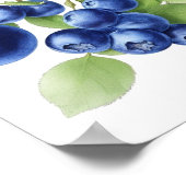 Affiche de fruits Wall Art (Coin)