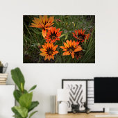 Affiche de gazanias orange et noir (Bureau à domicile)