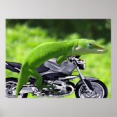 Affiche de gecko hawaïen vert sur moto (Devant)