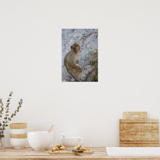 Affiche de Gibraltar Monkey (Cuisine)