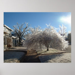 Affiche de glace d'hiver