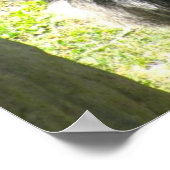 affiche de GORILLA GREETING (Coin)