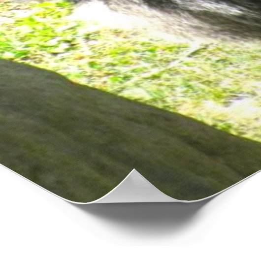 affiche de GORILLA GREETING (Coin)