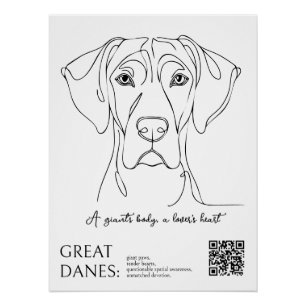 Affiche de Grand Danois en dessin au trait 