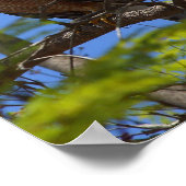 affiche de grillades de bratwurst (Coin)