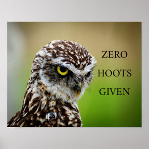 Affiche de hibou