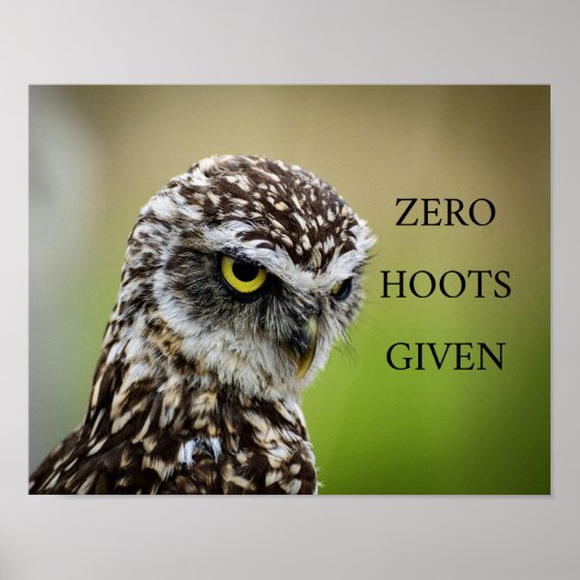 Affiche de hibou (Devant)