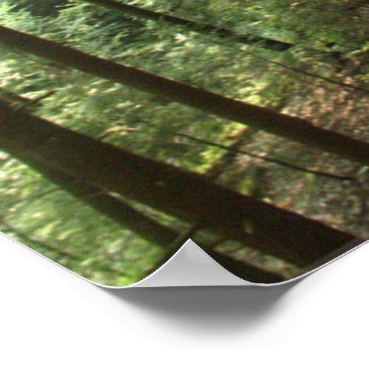 Affiche de Hocking Hills Cliff (Coin)