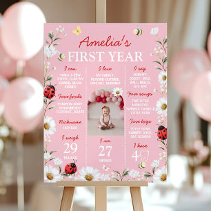 Affiche de jalons de photo d'anniversaire Love Bug