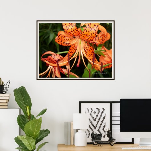 Affiche de jardin de fleurs de lis Tigre (Bureau à domicile)