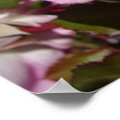 Affiche de jardin de fleurs de rose rose printemps (Coin)